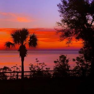 Meet your Posh: Classy, girly, curvy